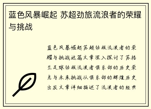 蓝色风暴崛起 苏超劲旅流浪者的荣耀与挑战